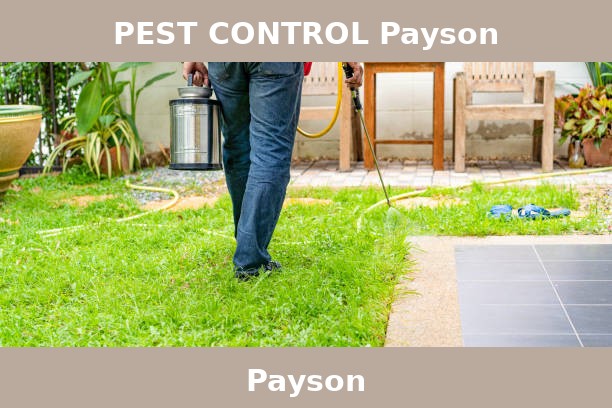 PEST CONTROL Payson
